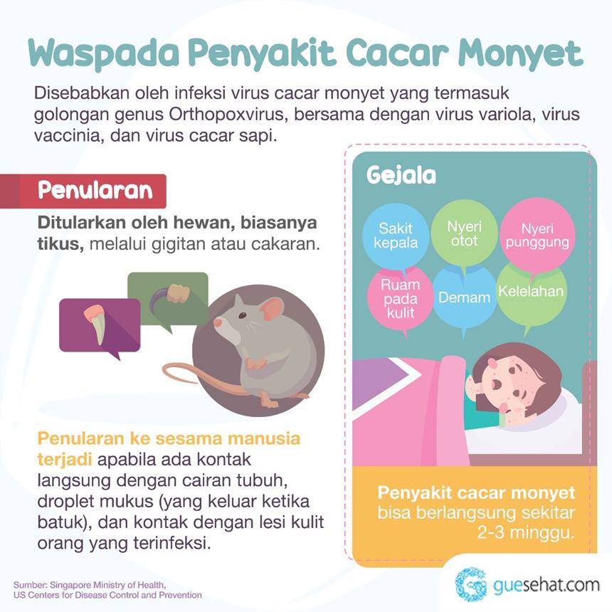Penyakit Cacar Monyet - GueSehat.com